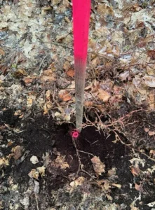Gränsutvisning - gränsmarkering