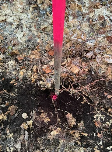 Gränsutvisning - gränsmarkering